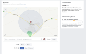 Facebook Local Advertising Consultant